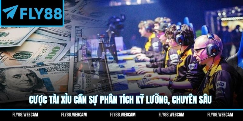 Cược Tài Xỉu cần sự phân tích kỹ lưỡng, chuyên sâu
